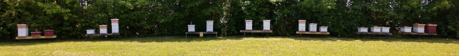 Research Apiary