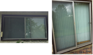 Closing window blinds helps minimize reflections but vegetation is still reflected in these windows