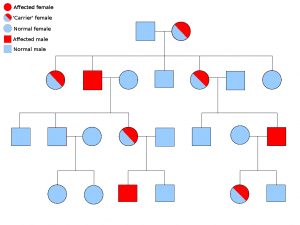 Sex_linked_inheritance