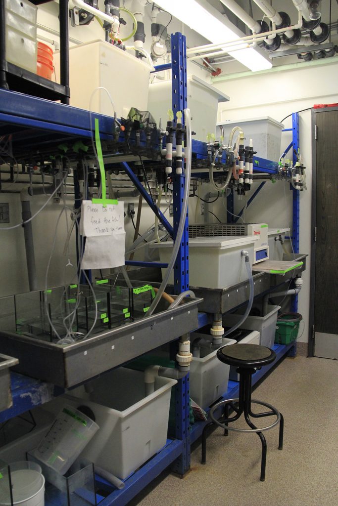 Experimental lab Goss Lab