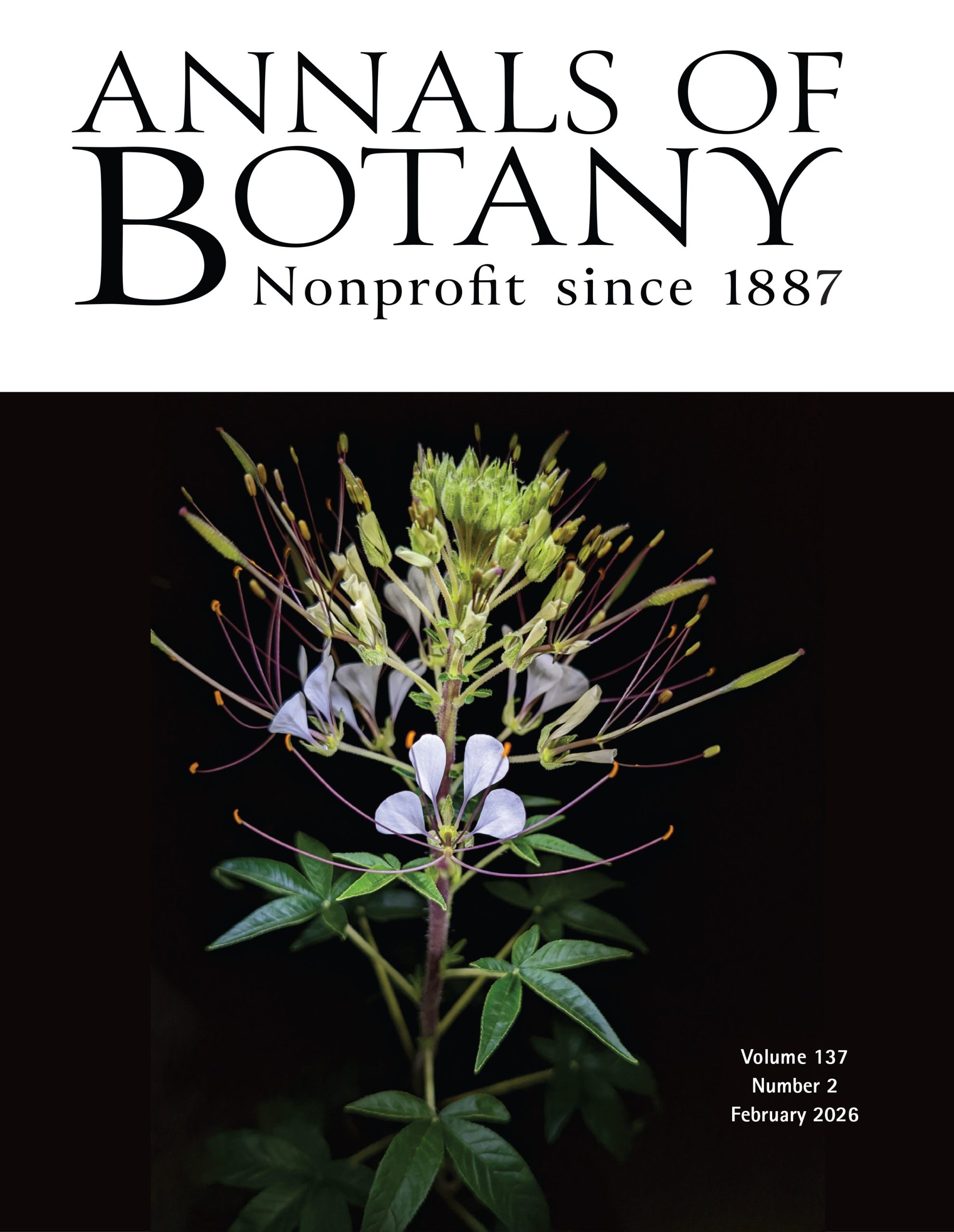 Zenchyzen, B et al. (2025). Spinning together agricultural and evo-devo research for Gynandropsis gynandra (spider plant). Cover feature of the Annals of Botany.