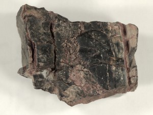Chert from Alice Springs, Australia. Bitter Spring Fm. Precambrian 900 million years old.
