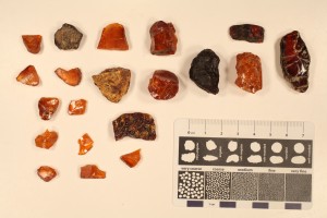 Amber from the Oligocene-Miocene. Chiapas - Mexico.