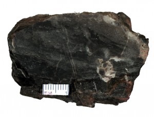 Gunflint Chert, Kakabeka Falls Ontario. Precambrian, 1.9 billion years old