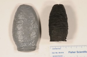 Casts of Cone