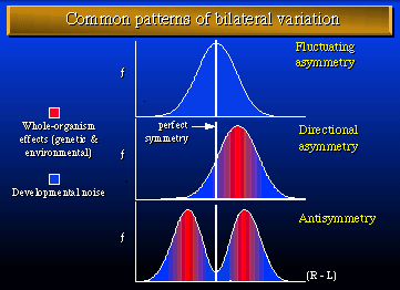 FA, DA, Antisym. distributions GIF, 16K