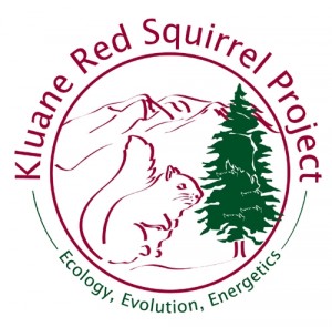 KRSP logo